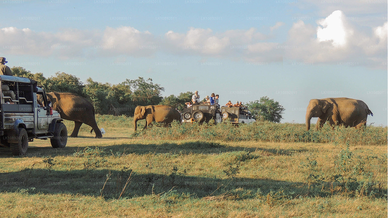 Cultuur, wildernis en natuur (8 dagen)