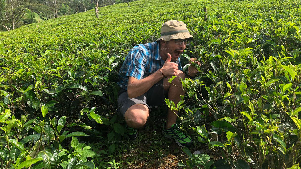 Cultuur, wildernis en natuur (8 dagen)