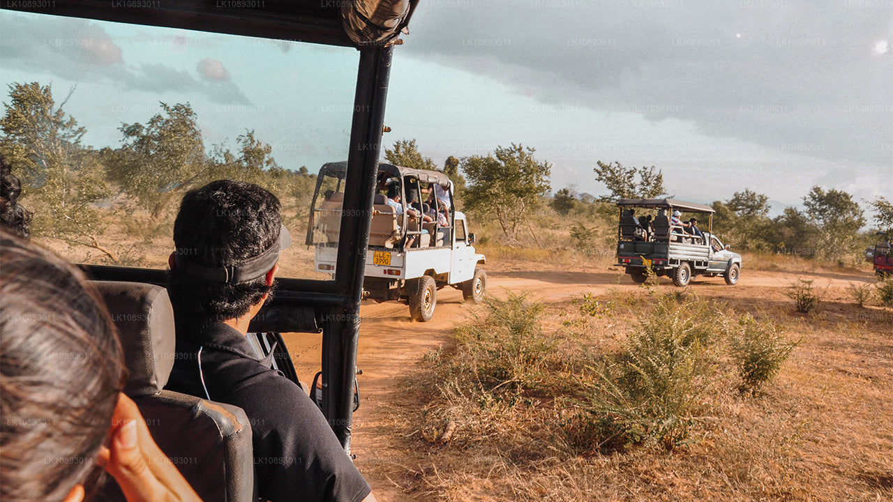 Wild Wonders (8 dagen)