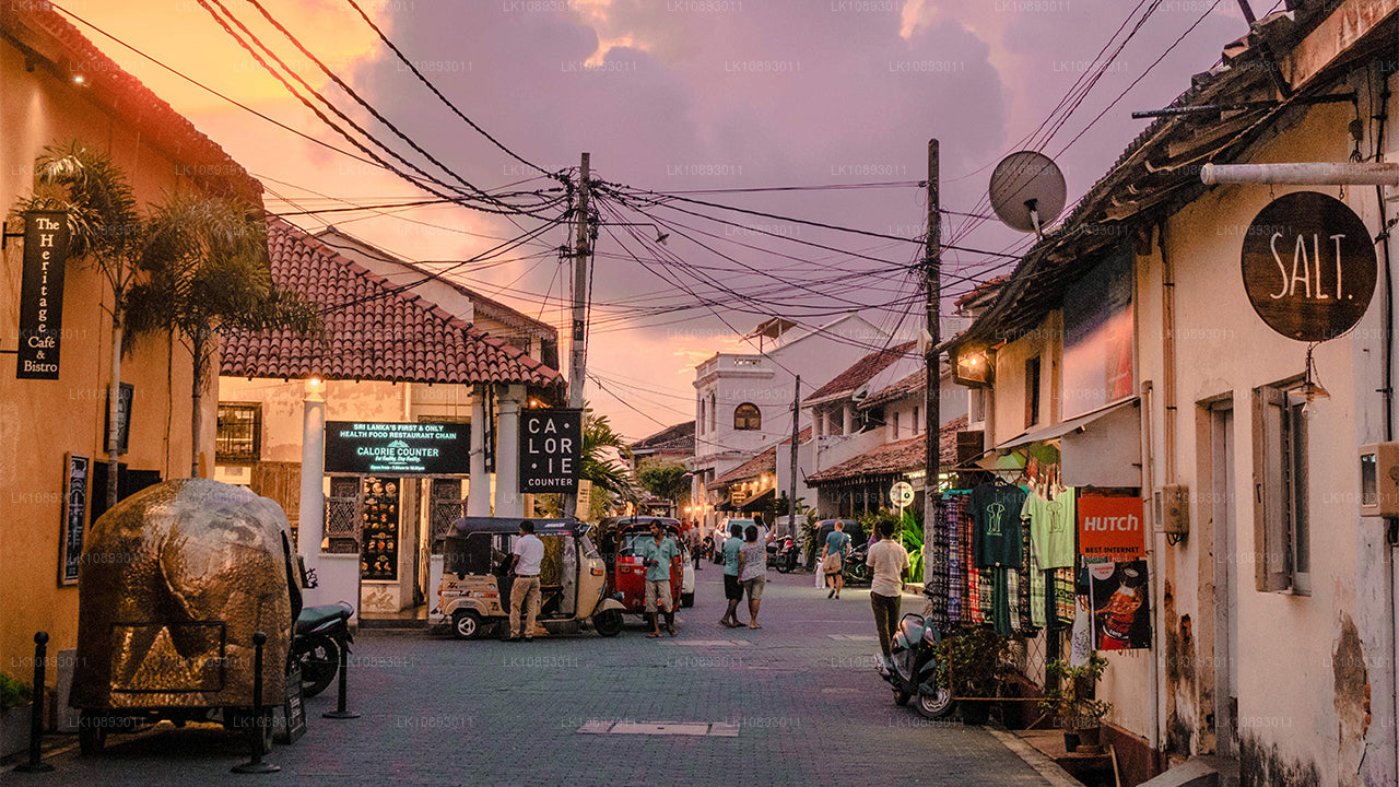 Wild Wonders (8 dagen)