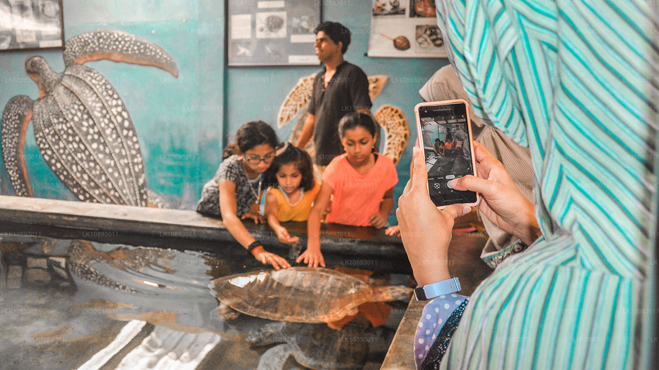 Wild Wonders (8 dagen)