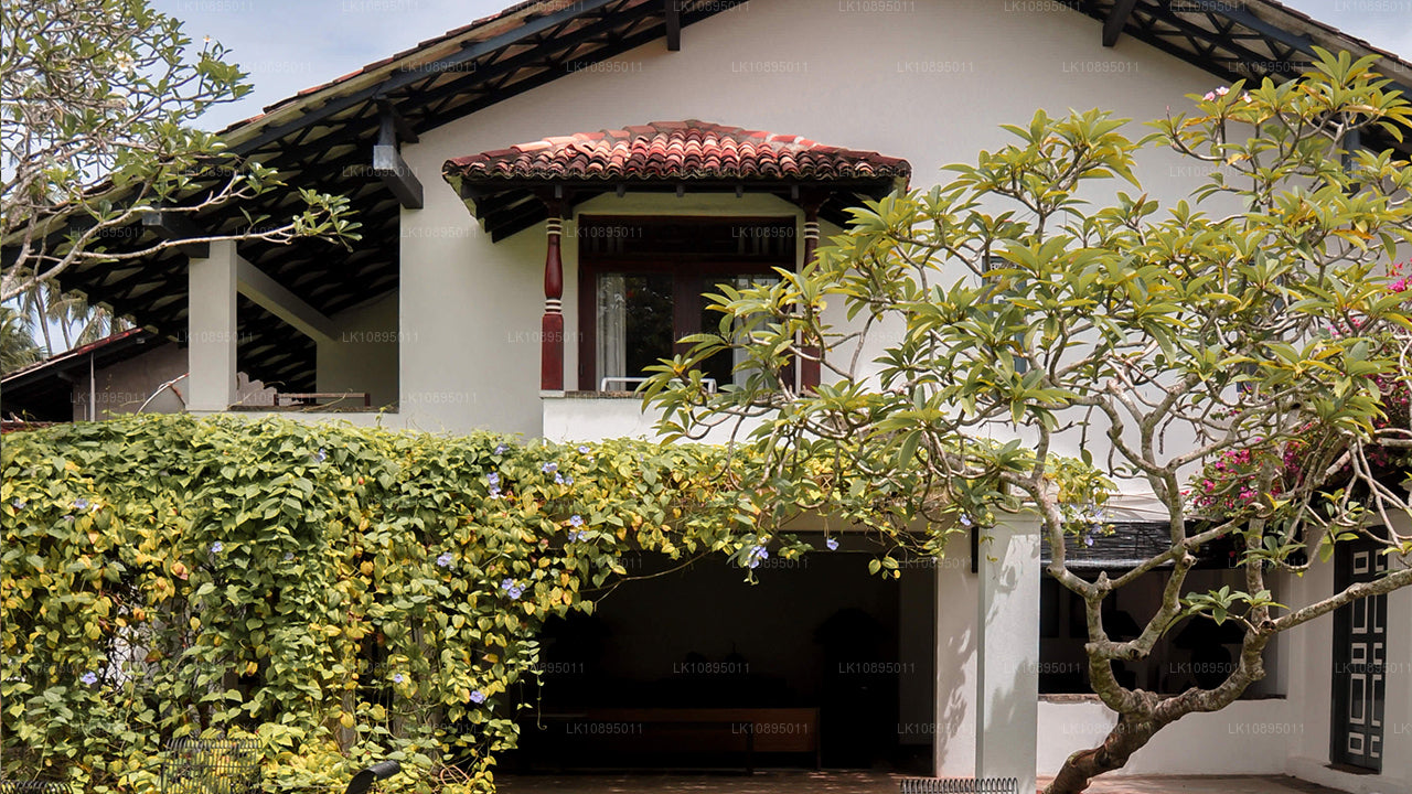 Indrukken van Geoffrey Bawa (8 dagen)