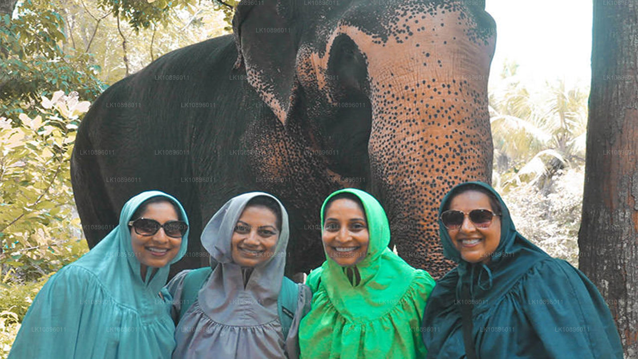 Kust en heuvels (8 dagen)