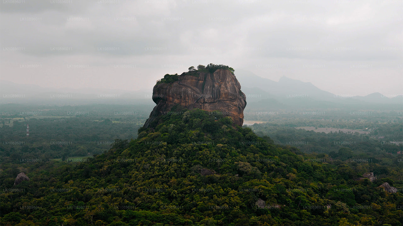Kust en heuvels (8 dagen)