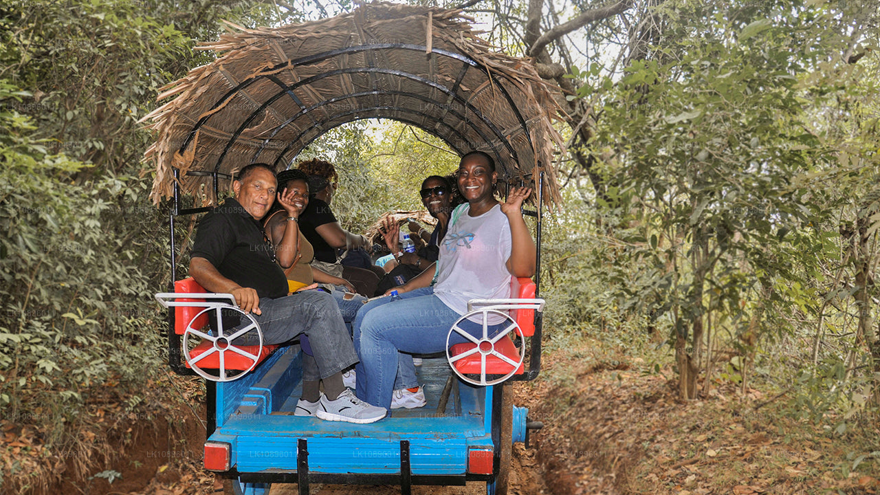 Kust en heuvels (8 dagen)