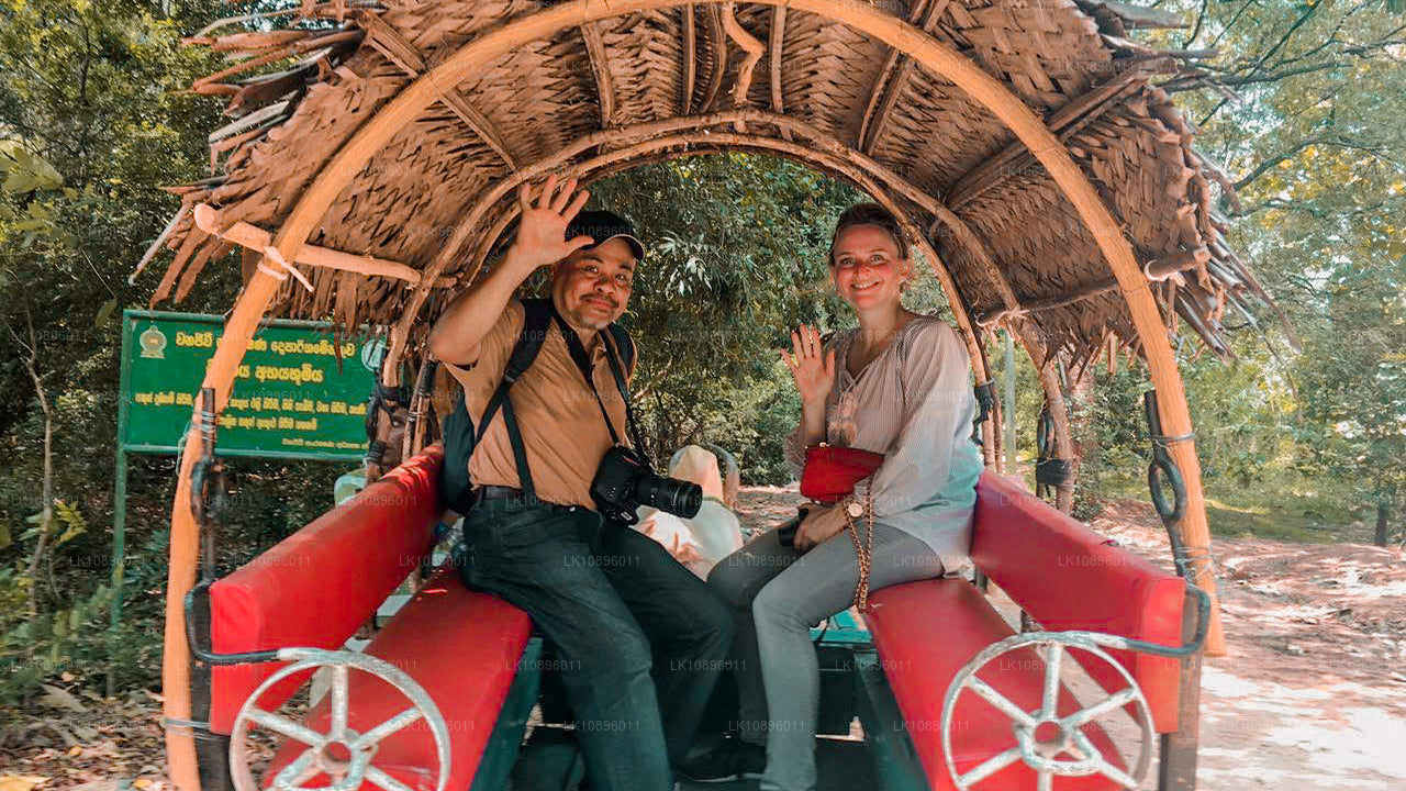 Kust en heuvels (8 dagen)