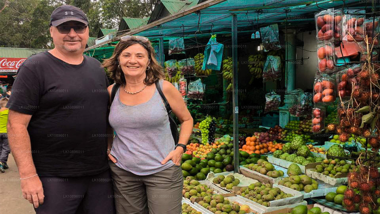 Kust en heuvels (8 dagen)