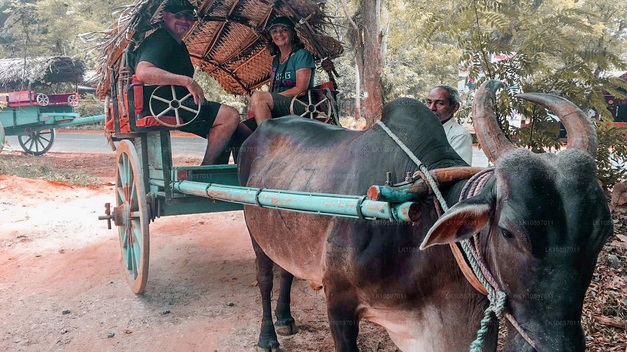 Cultuur en wildernis (8 dagen)