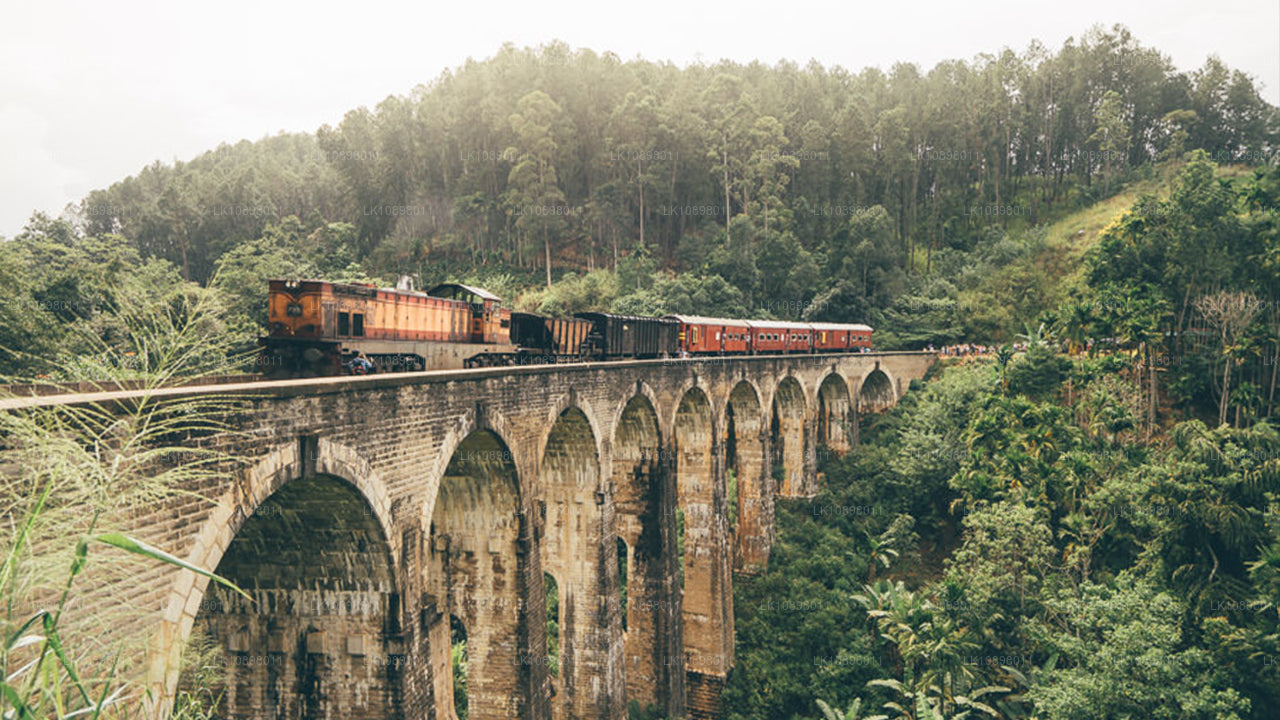 Ontdek Serendib per trein (8 dagen)
