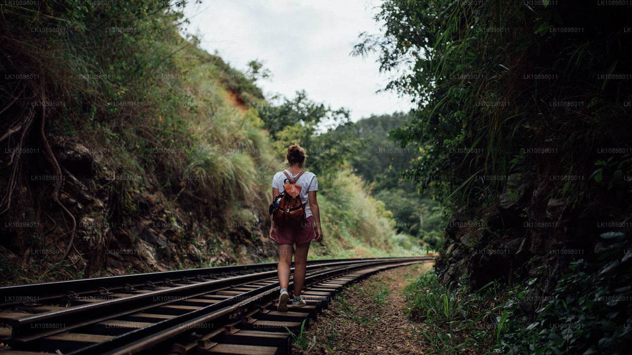 Ontdek Serendib per trein (8 dagen)
