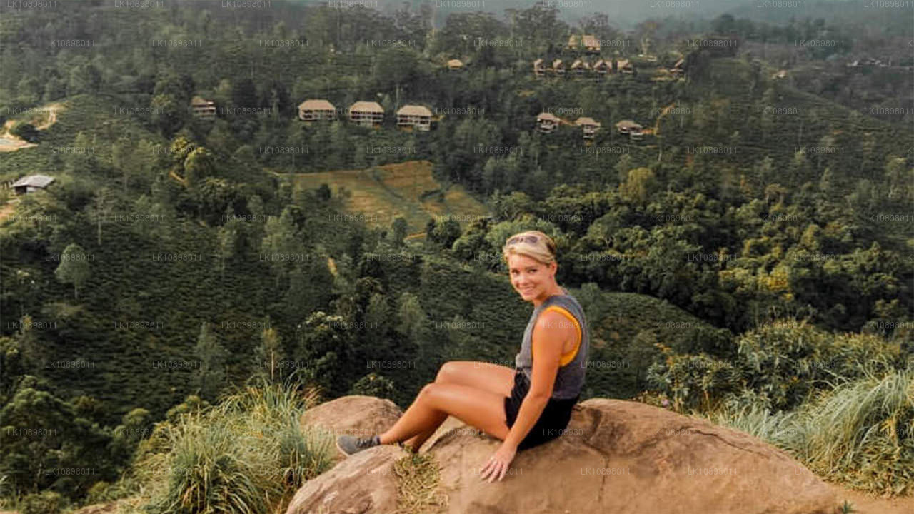 Ontdek Serendib per trein (8 dagen)