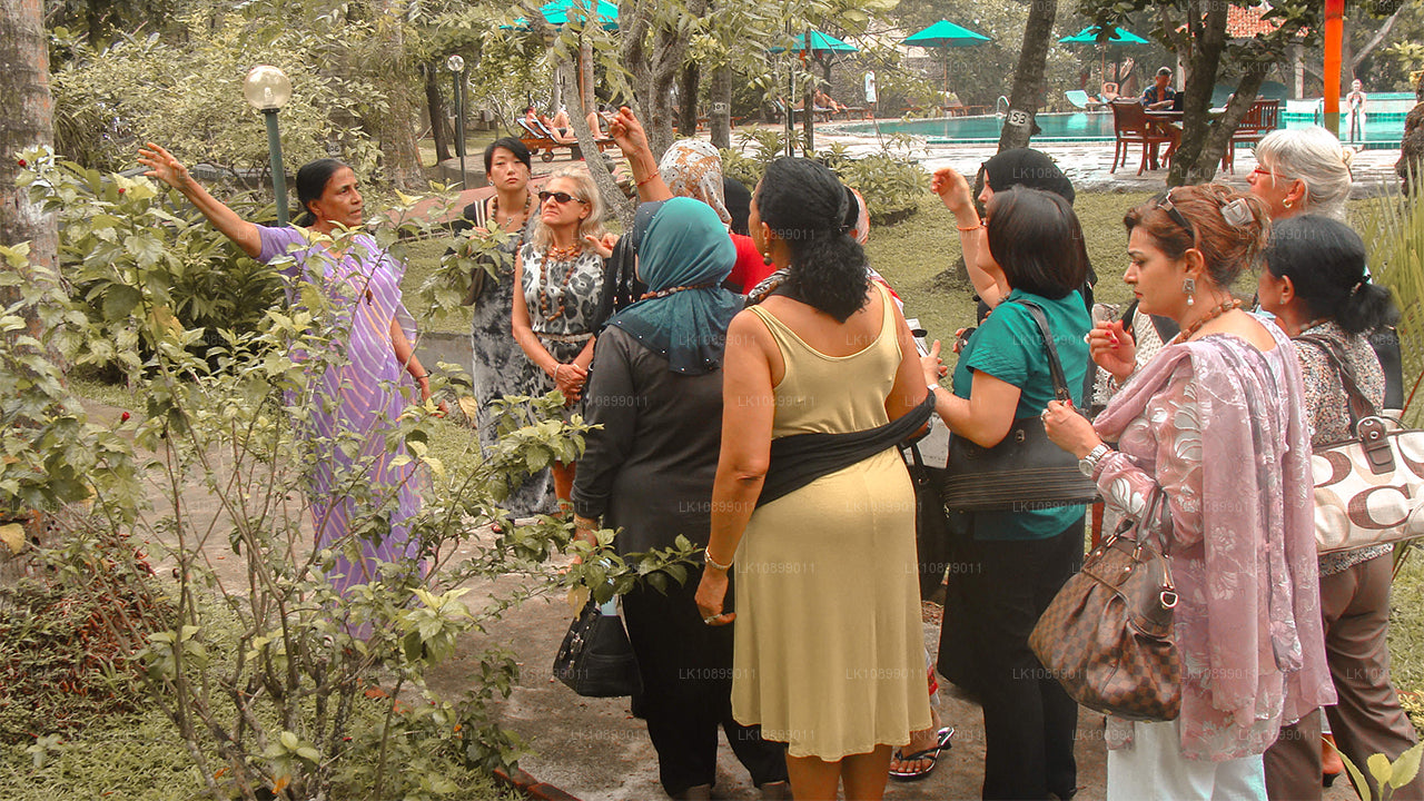 Ontspanning en ontspanning met Siddalepa (8 dagen)