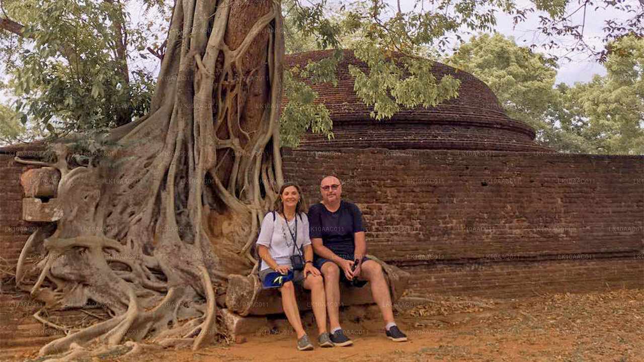 Koninkrijken van Ceylon (10 dagen)