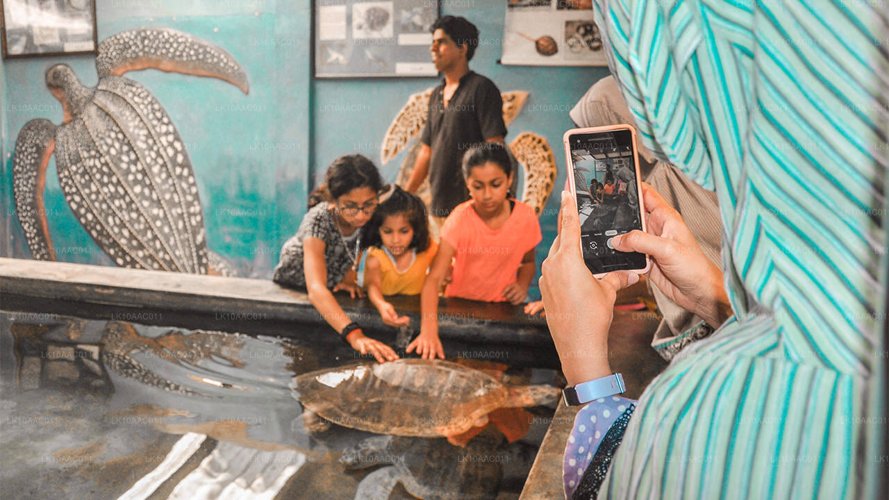 Koninkrijken van Ceylon (10 dagen)