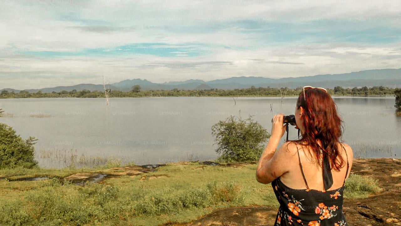 Wilde dieren in Sri Lanka (10 dagen)