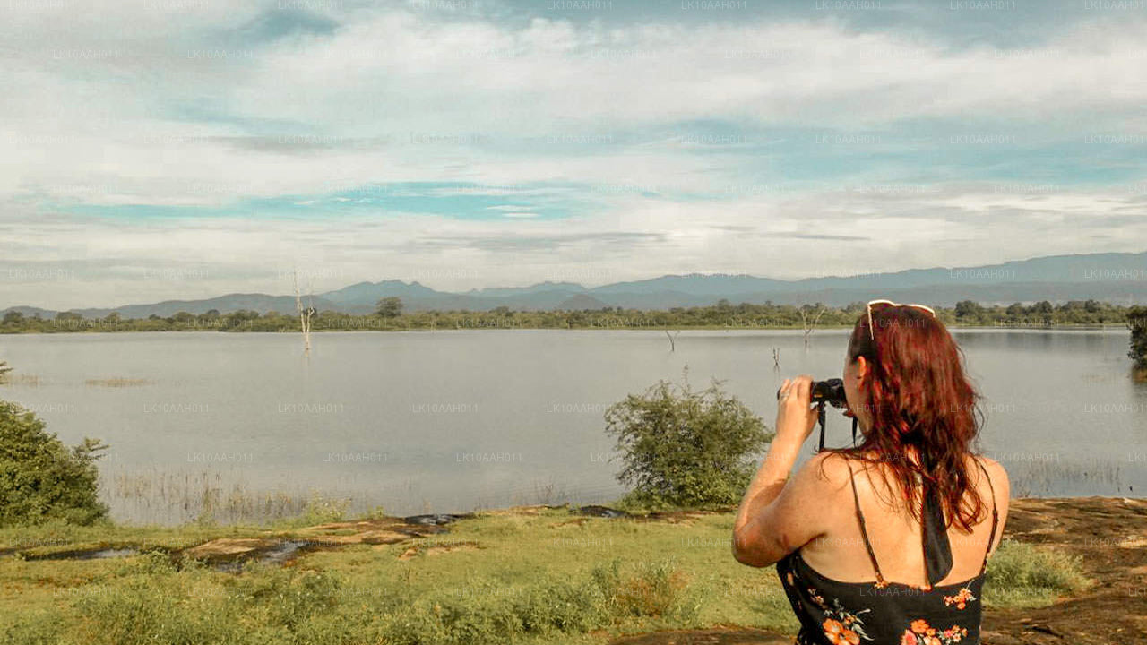 Geschiedenis en erfgoed (10 dagen)