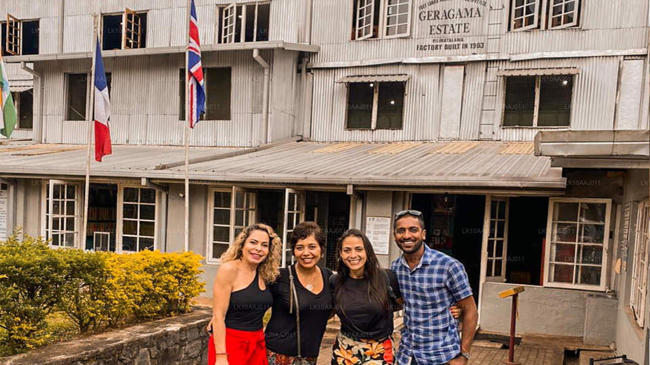 Theetour door Ceylon (10 dagen)