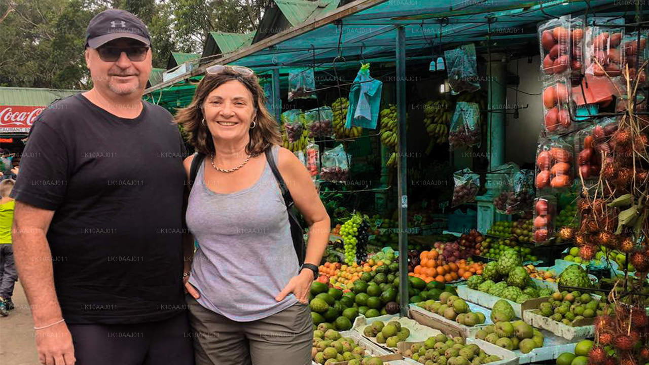 Theetour door Ceylon (10 dagen)