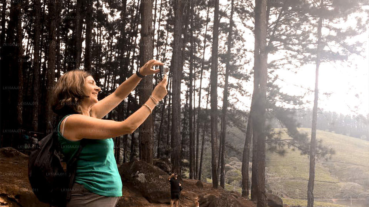 Theetour door Ceylon (10 dagen)