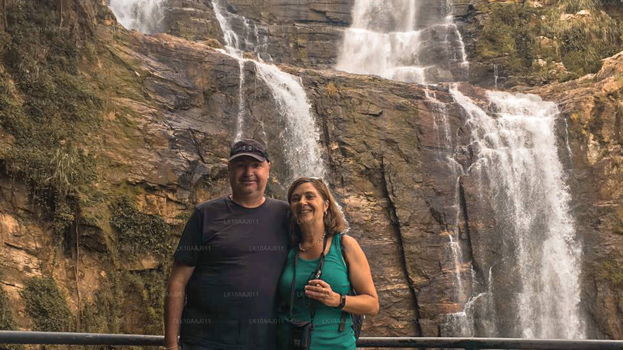 Theetour door Ceylon (10 dagen)