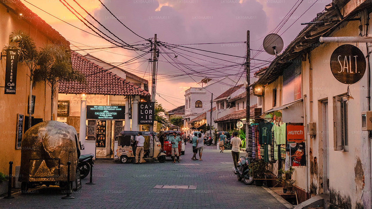 Theetour door Ceylon (10 dagen)