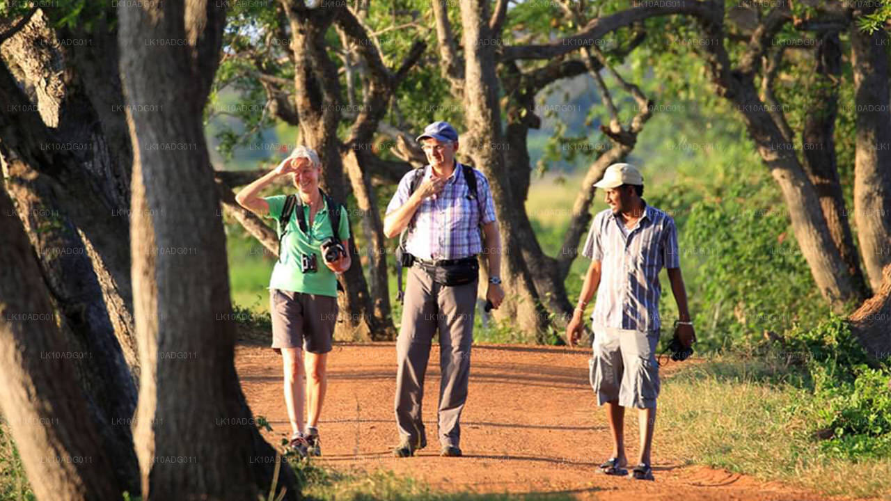 Vogelobservatie- en wildtour (10 dagen)