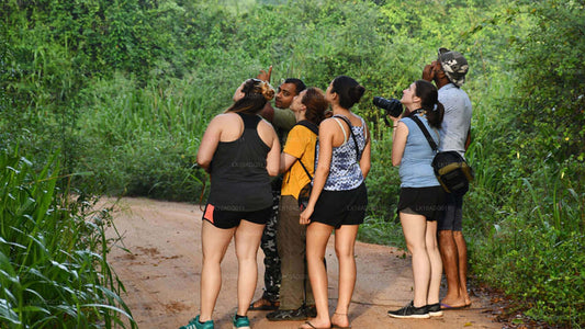 Vogelobservatie- en wildtour (10 dagen)