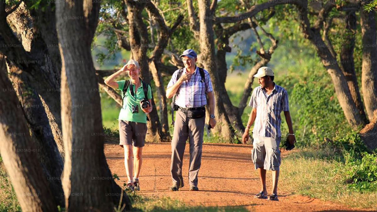 Reis naar vogels en wilde dieren (11 dagen)