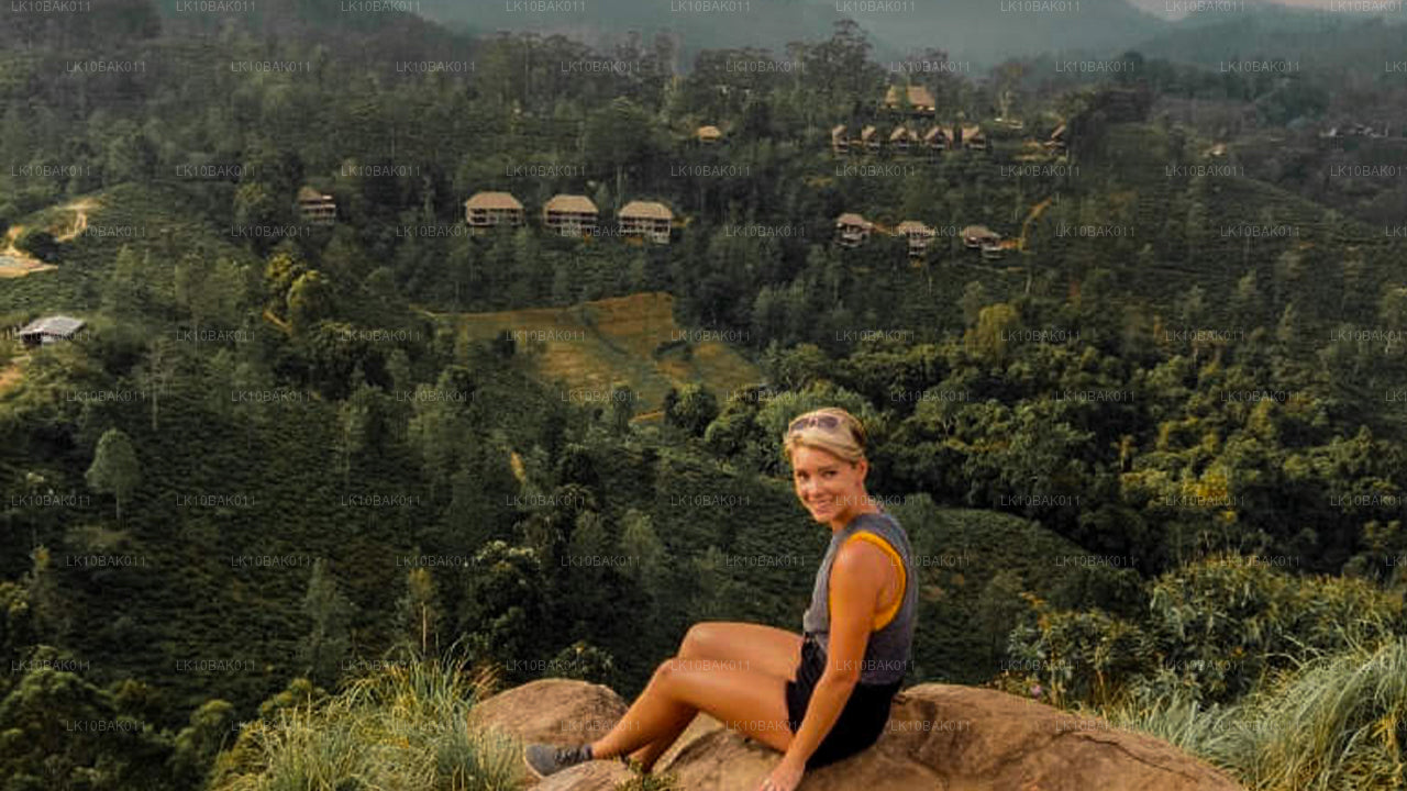 Avontuur en vrije tijd (11 dagen)