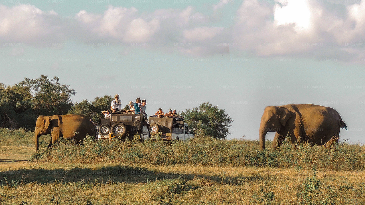 Avontuur en vrije tijd (11 dagen)