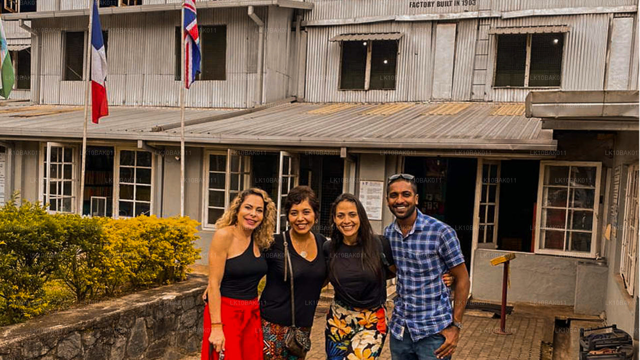 Avontuur en vrije tijd (11 dagen)