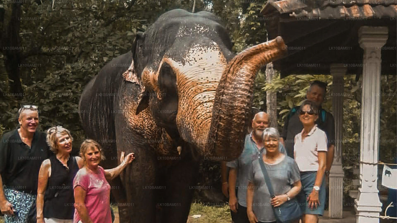 Scenic Serendib (11 dagen)