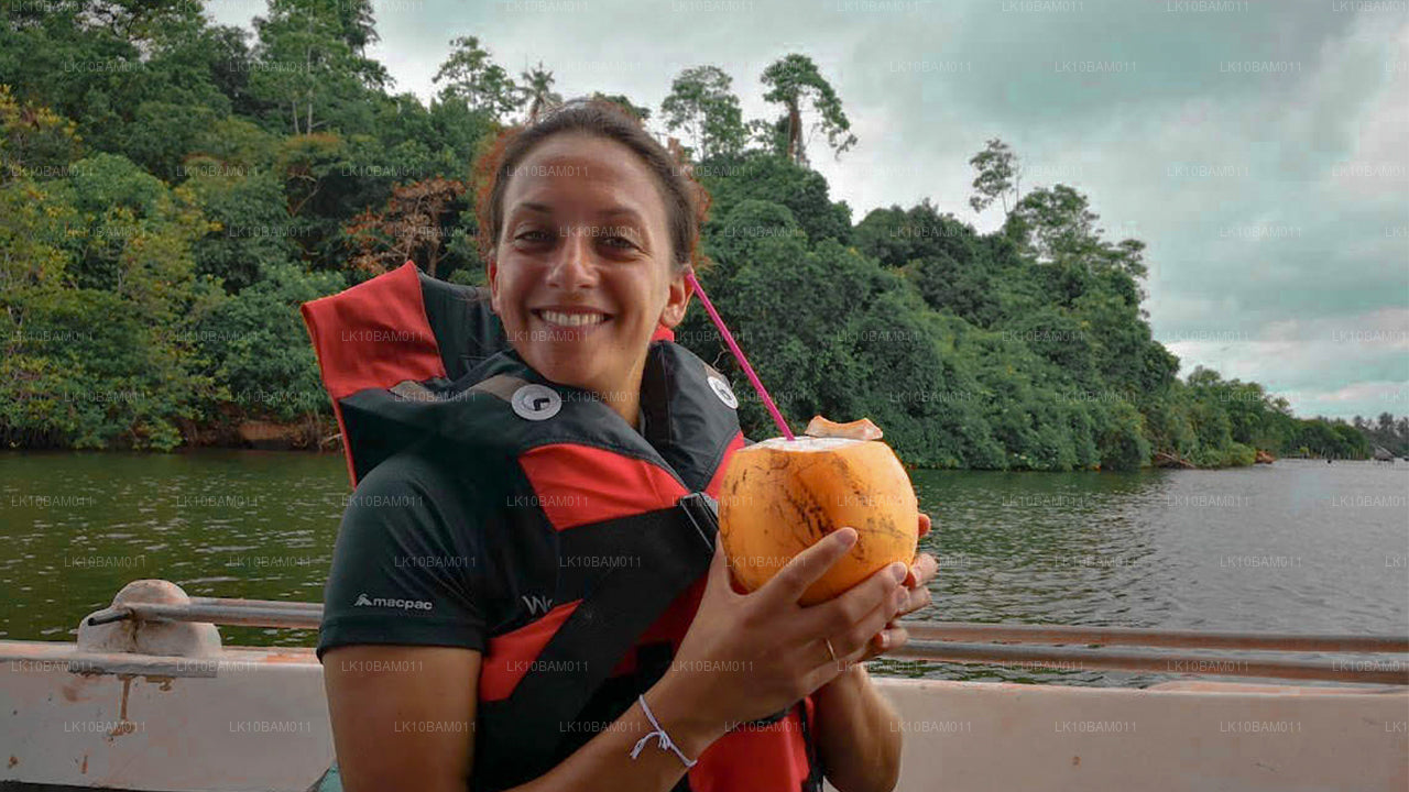 Scenic Serendib (11 dagen)