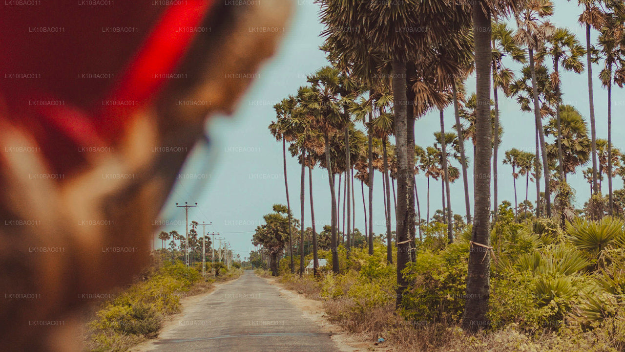 Beleef het noordoosten (11 dagen)