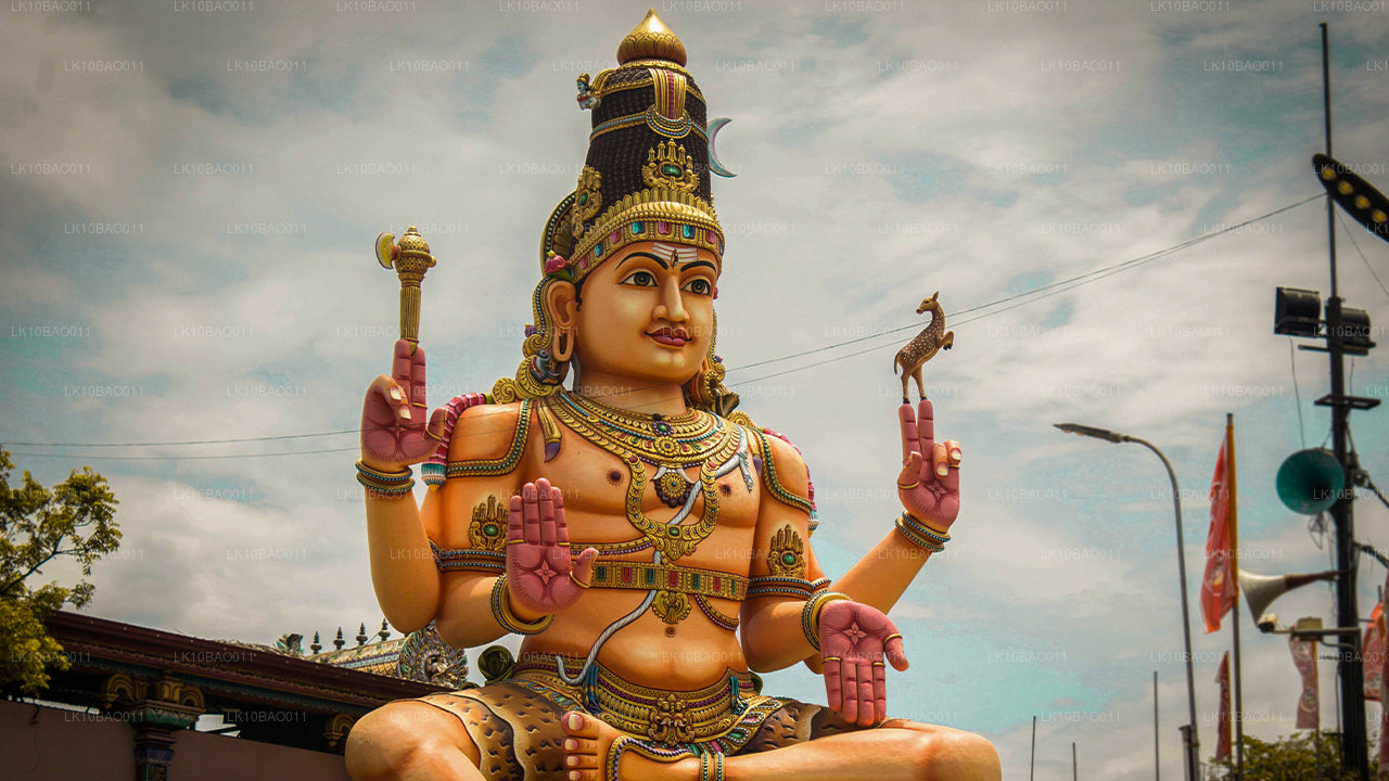 Beleef het noordoosten (11 dagen)