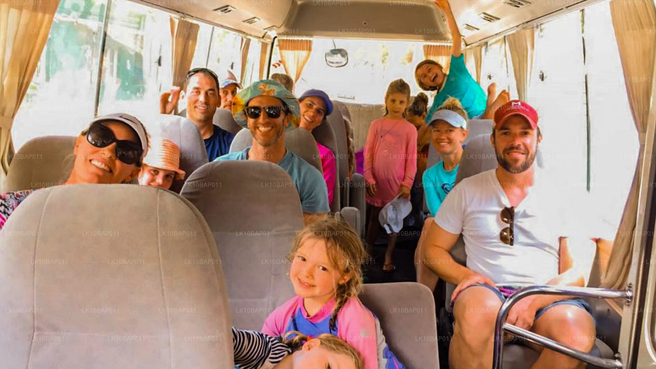 Sanctuary ontdekken (11 dagen)