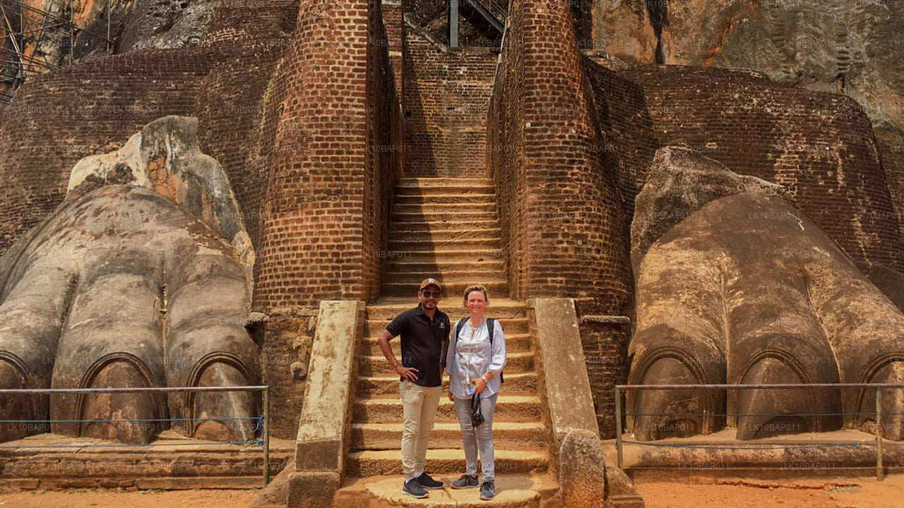 Sanctuary ontdekken (11 dagen)