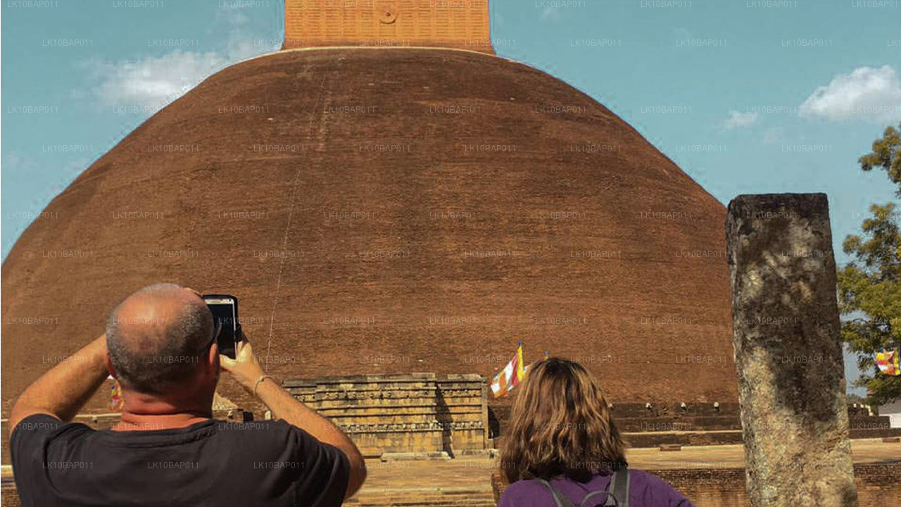 Sanctuary ontdekken (11 dagen)
