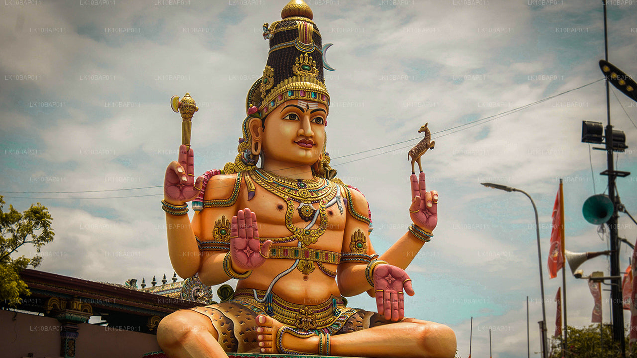 Sanctuary ontdekken (11 dagen)