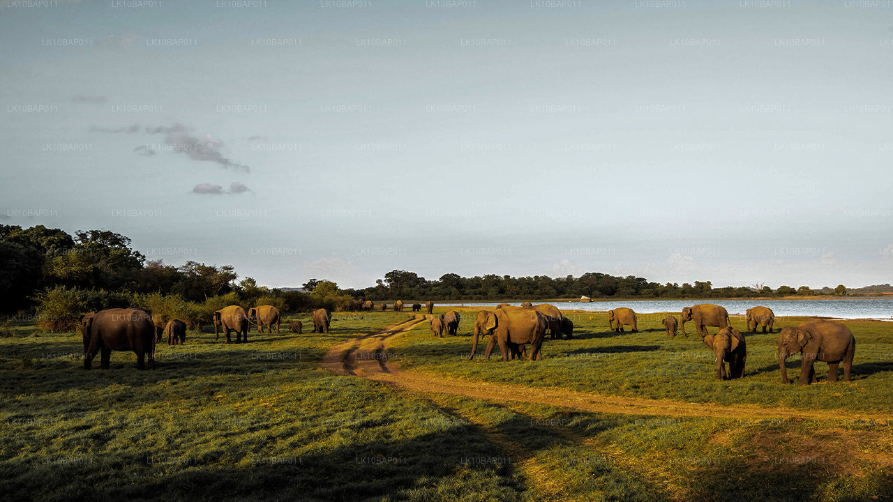 Sanctuary ontdekken (11 dagen)
