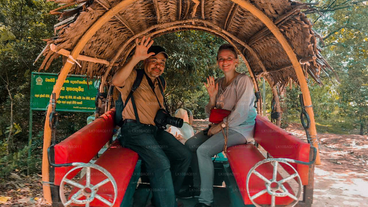 Verloren in Ceylon (11 dagen)