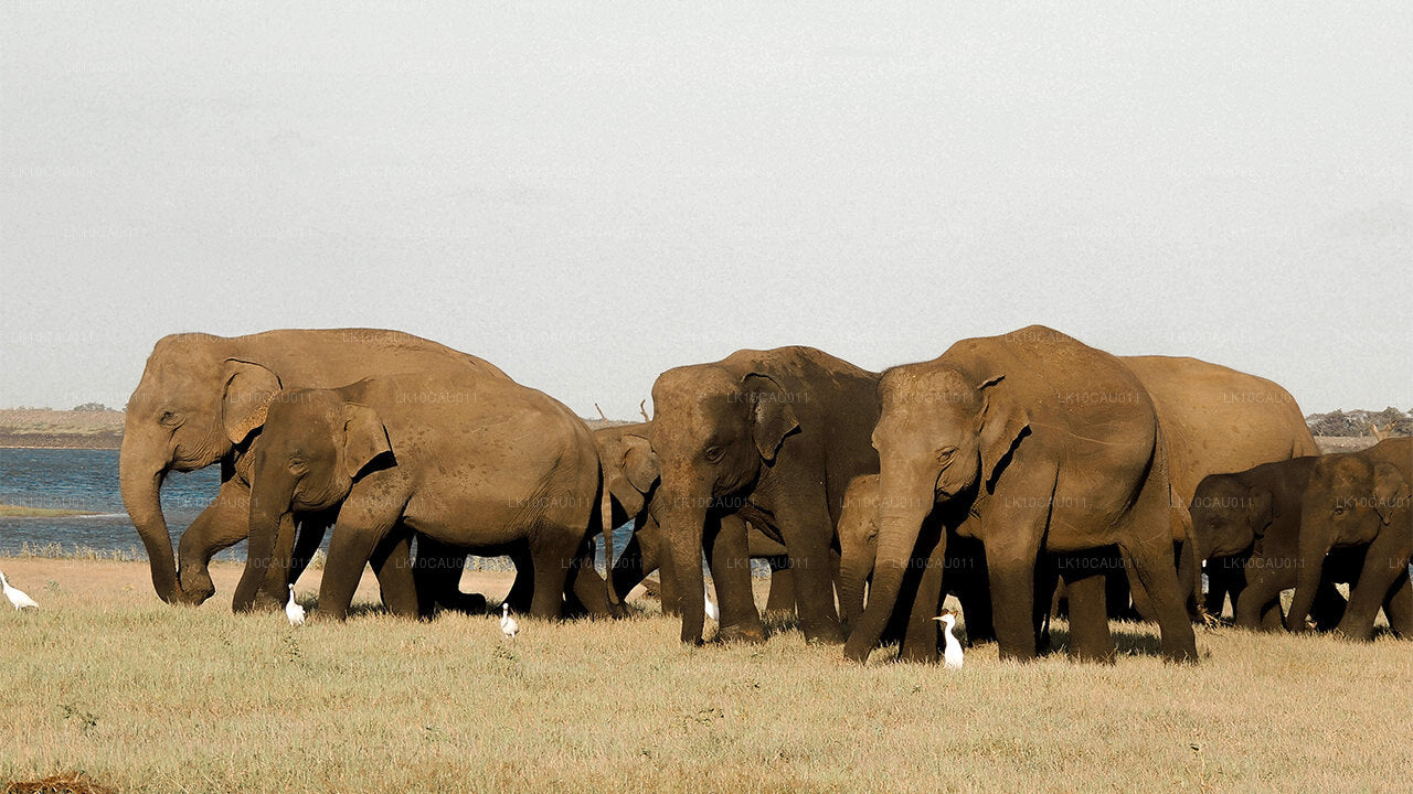 Cultuur en kust (12 dagen)