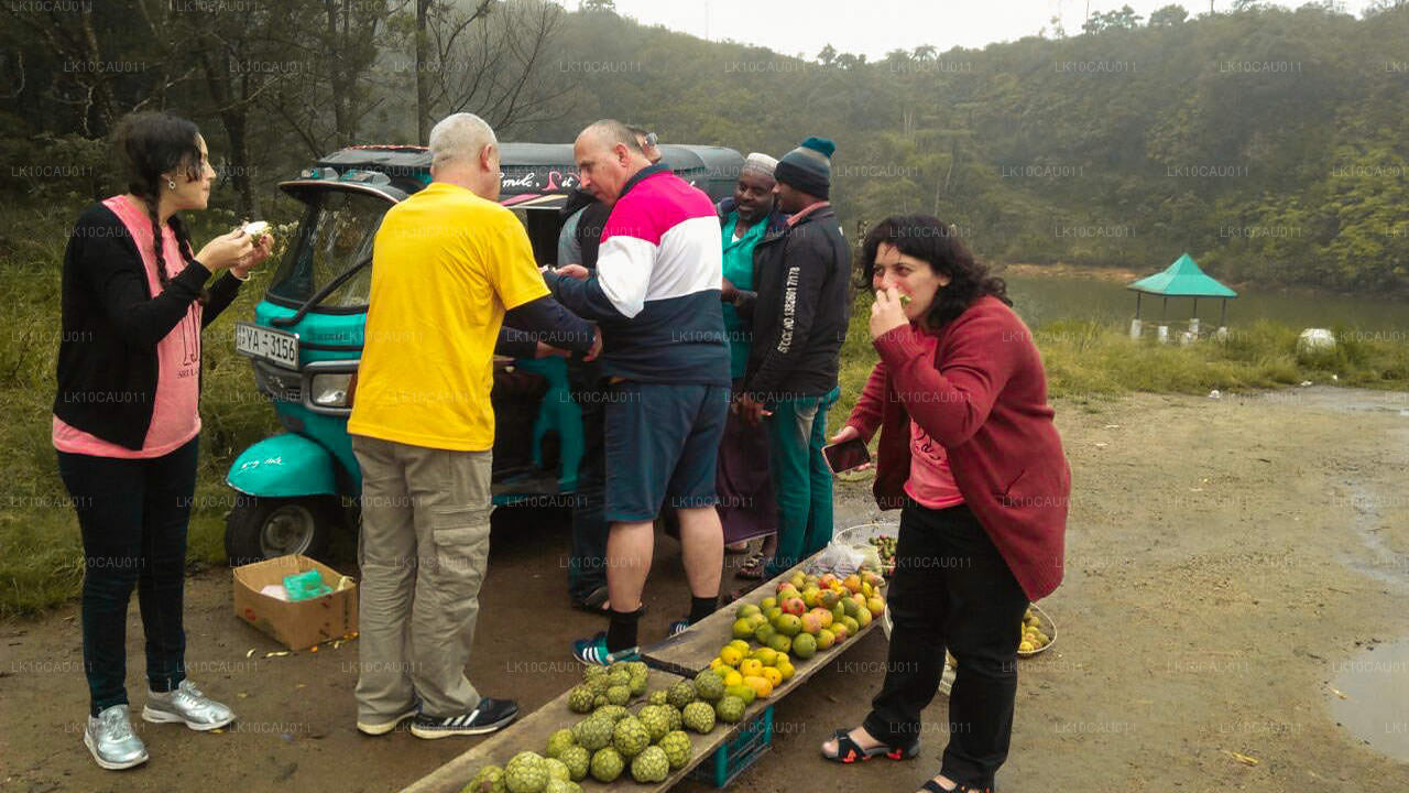 Cultuur en kust (12 dagen)