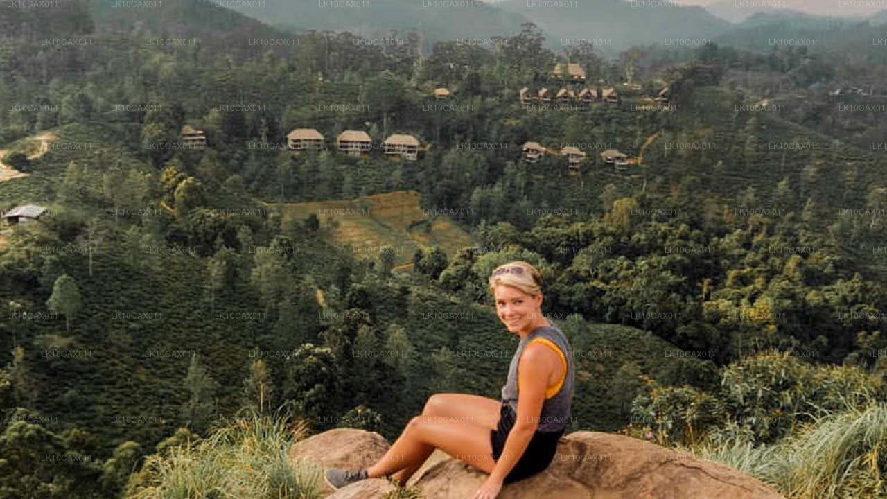 Avontuur met een twist (12 dagen)