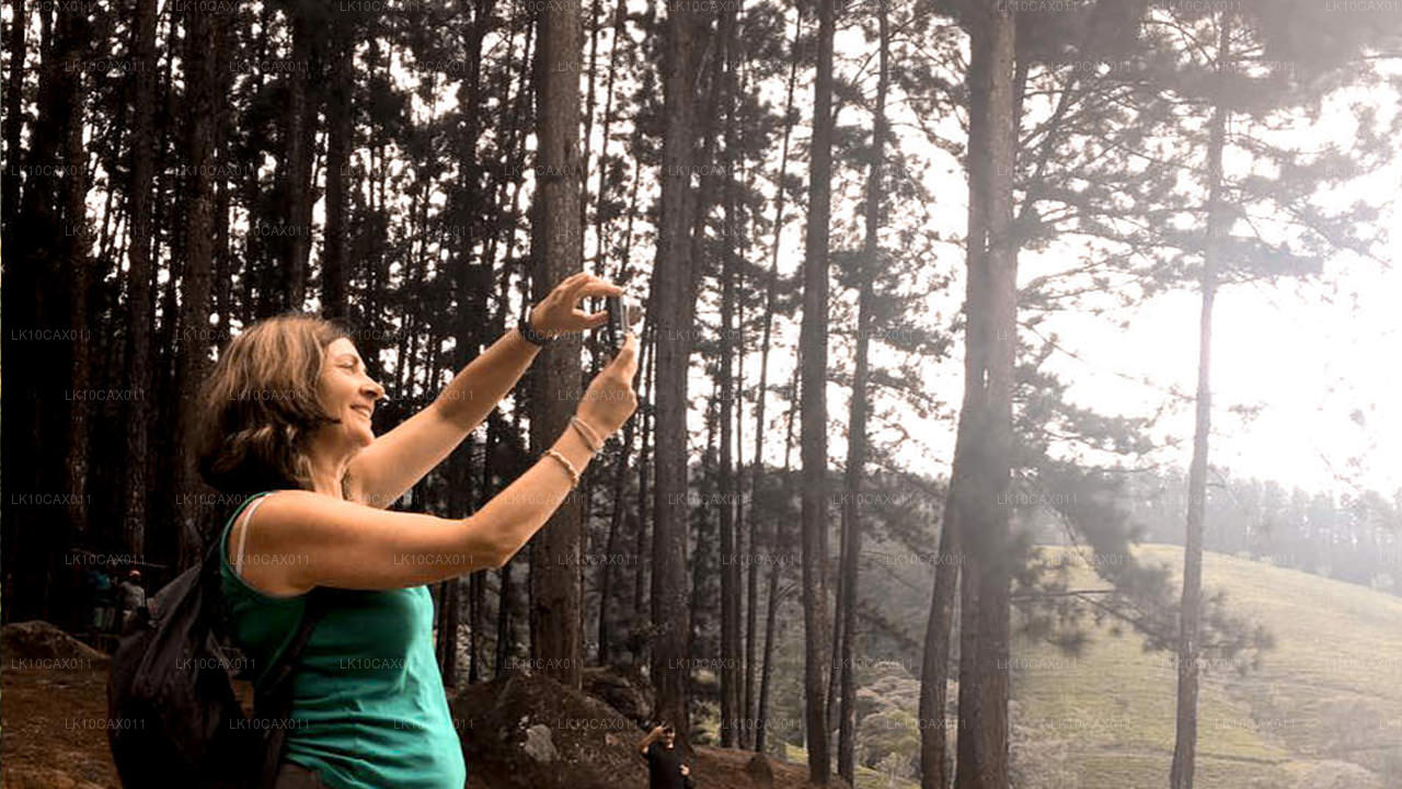 Avontuur met een twist (12 dagen)