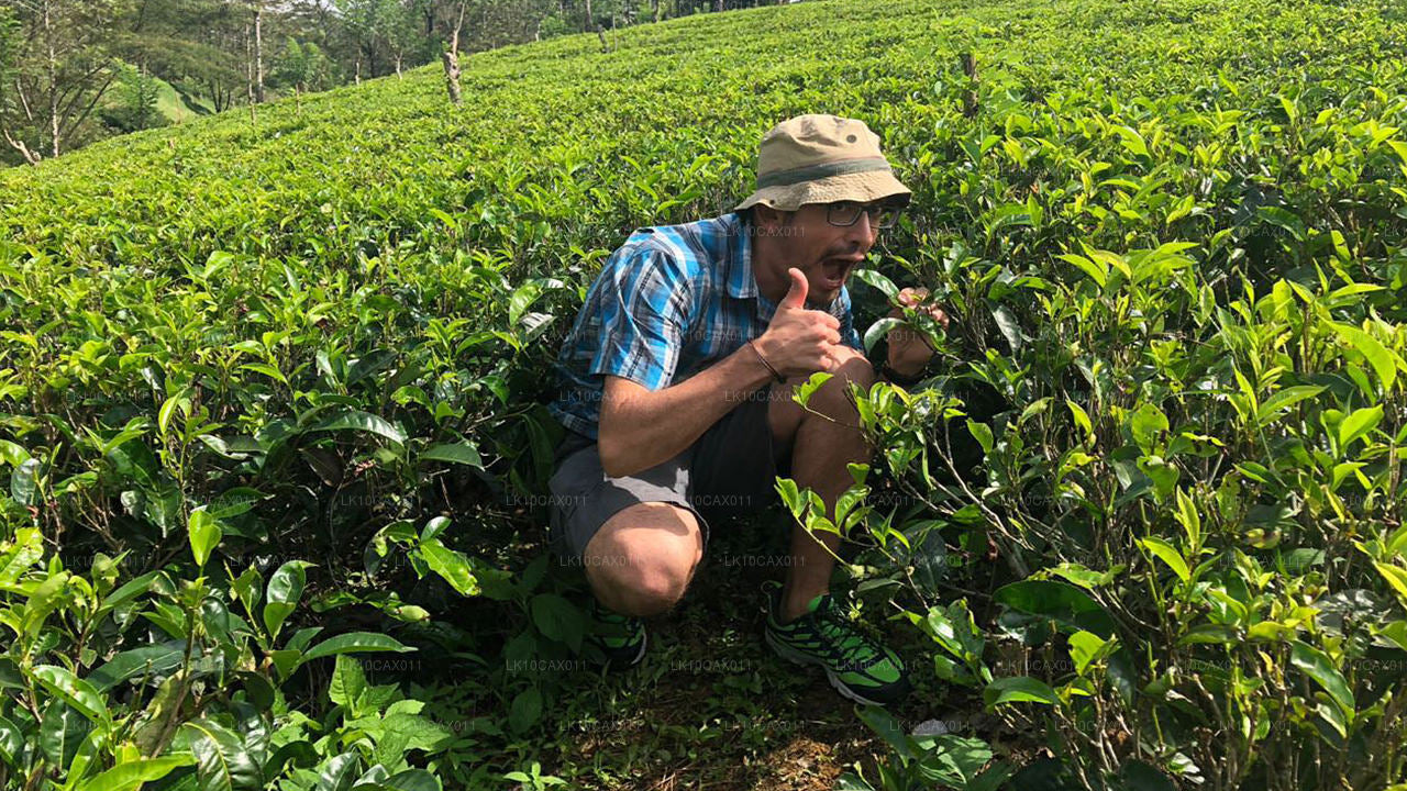 Avontuur met een twist (12 dagen)