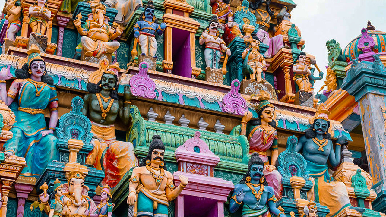 Boeddhistische pelgrimstocht (13 dagen)