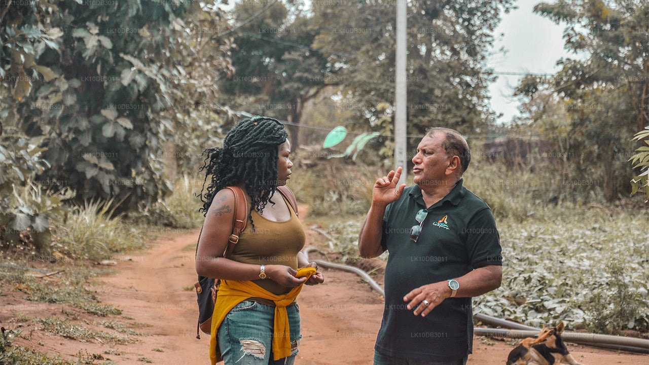 Rondje door Ceylon (13 dagen)