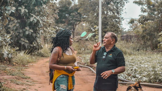 Rondje door Ceylon (13 dagen)