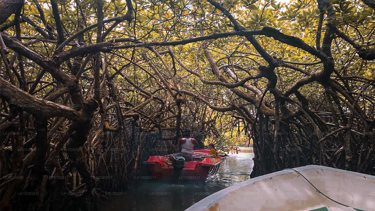 Rondje door Ceylon (13 dagen)